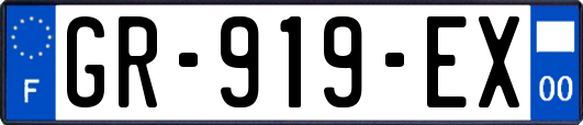 GR-919-EX