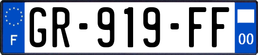 GR-919-FF