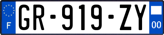 GR-919-ZY