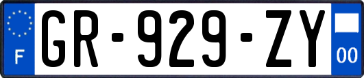 GR-929-ZY