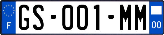 GS-001-MM