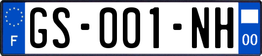 GS-001-NH