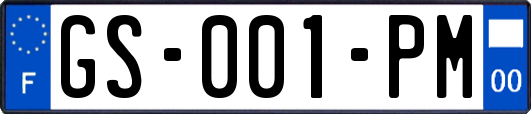 GS-001-PM