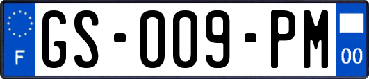 GS-009-PM