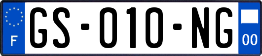 GS-010-NG