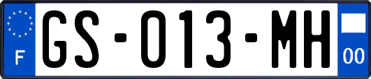 GS-013-MH