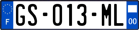 GS-013-ML