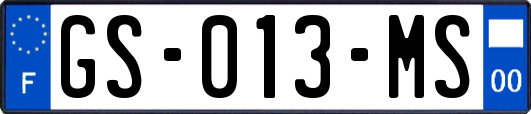 GS-013-MS