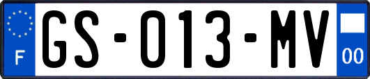 GS-013-MV