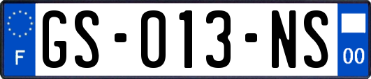 GS-013-NS