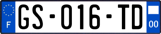 GS-016-TD