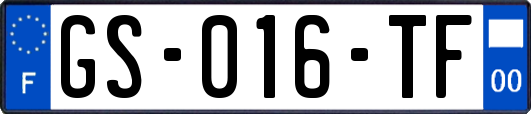 GS-016-TF