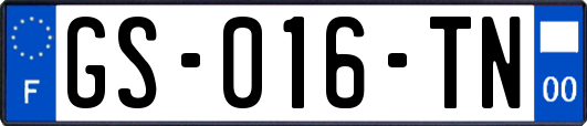GS-016-TN