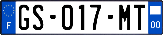 GS-017-MT