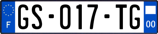 GS-017-TG