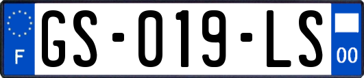 GS-019-LS