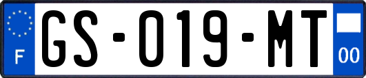 GS-019-MT