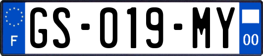 GS-019-MY