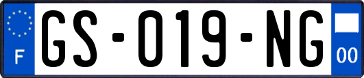 GS-019-NG