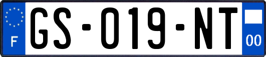 GS-019-NT