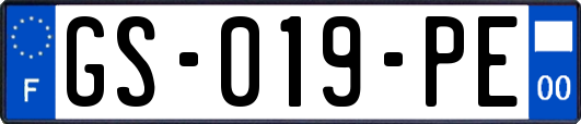 GS-019-PE