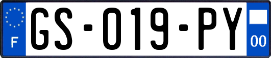 GS-019-PY