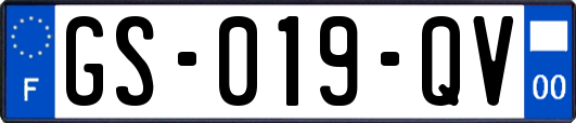 GS-019-QV