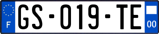 GS-019-TE