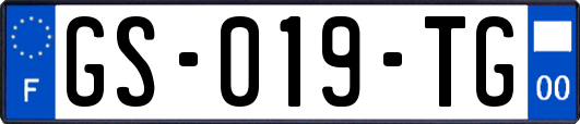 GS-019-TG
