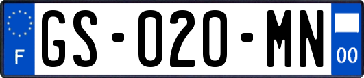 GS-020-MN