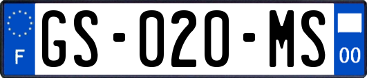 GS-020-MS