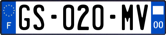 GS-020-MV