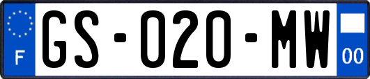 GS-020-MW