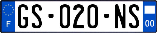 GS-020-NS
