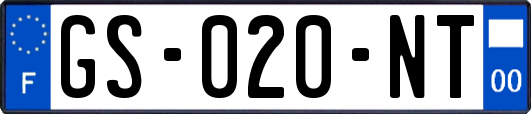 GS-020-NT