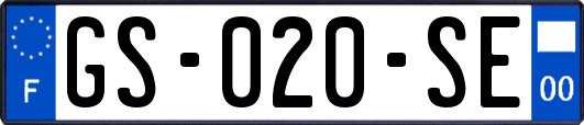 GS-020-SE