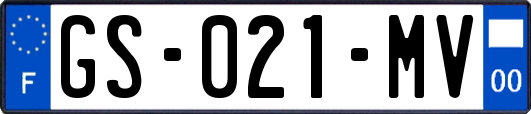 GS-021-MV