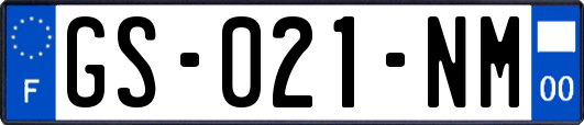 GS-021-NM