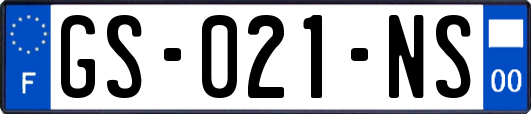 GS-021-NS