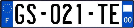 GS-021-TE