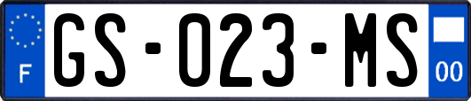 GS-023-MS