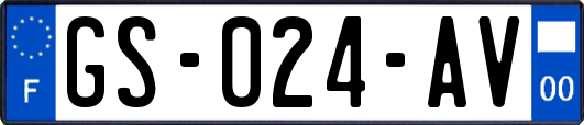 GS-024-AV