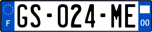 GS-024-ME