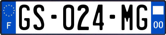 GS-024-MG