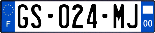 GS-024-MJ