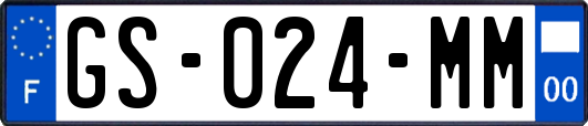 GS-024-MM