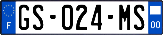 GS-024-MS
