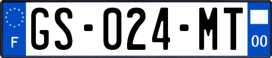 GS-024-MT