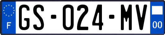 GS-024-MV