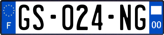 GS-024-NG